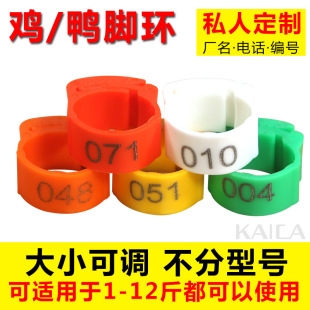 �u�_�h�������ӛ̖�h�u���_�h��ʾ�u�_Ȧ�u���Z�����_�h�u�_�h