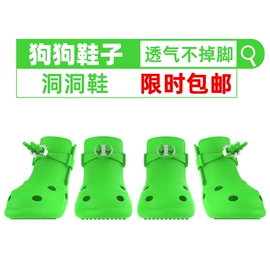 宠物鞋靴;口腔护理套装;狗狗窝/笼/垫