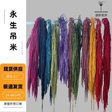 ���������z��������c��Ʒ�Y���b������b�Ʒ��Ϧ�Շ��в������l