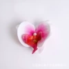 Film Phalaenopsis Trumpet-Gradient Pink