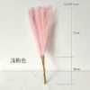 Light pink 55cm