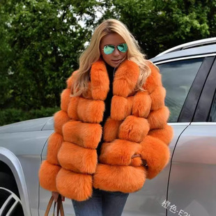 �羳���Q�W������ͨ�ڼ�ɫ��ë���״��°ٴ���|�����L�����