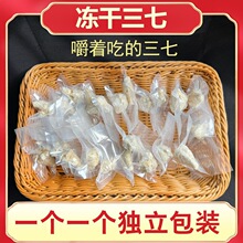 云南文山产地批发冻干三七独立装冻干三七头真空田七材三七粉