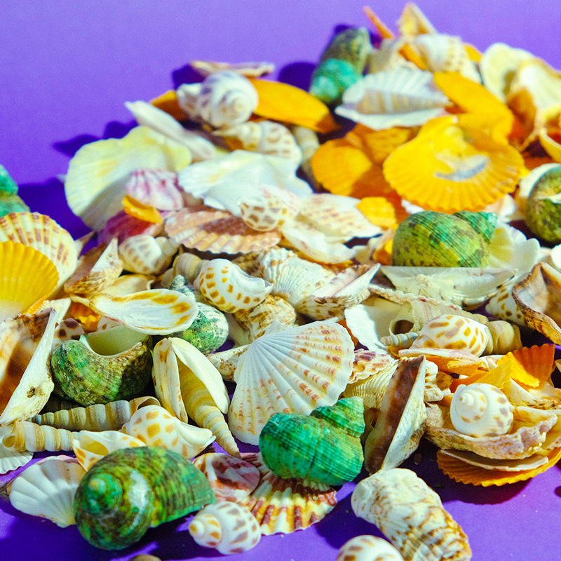 Bricolaje accesorios hechos a mano joyería de estilo antiguo fondo marino conjunto mixto concha natural campanilla de viento concha tridimensional flor al por mayor