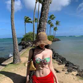 泳衣女分体比基尼三件套比基尼性感纯欲风女孩2025新款温泉泳装