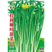 ~ķNӹ~ķNѹֲ˻NӏV|Vɫ߲˷N