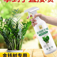 免稀释金钱树营养液叶子发黄叶面肥盆栽植物金钱树肥料肥