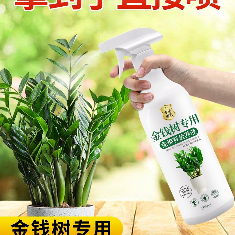 免稀释金钱树营养液叶子发黄叶面肥盆栽植物金钱树肥料肥