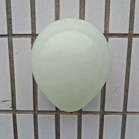 2024-11-15 12:53:14.jpg