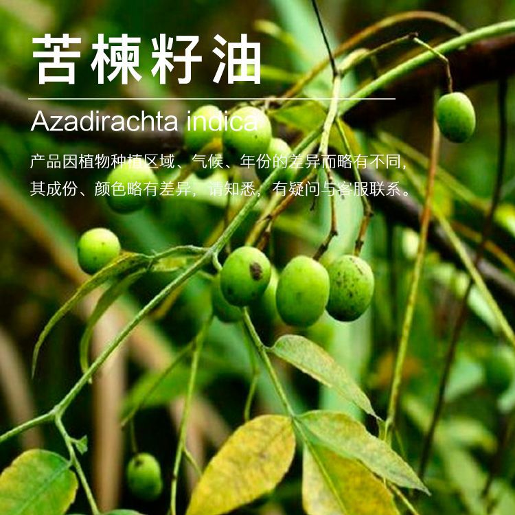 �򻨹�Ӧ����� ������� ӡ��� �����ѹեֲ�������ԭ������