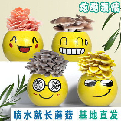 Грибные смайлики кукла Pi Mushroom Box Pot Pot Grush