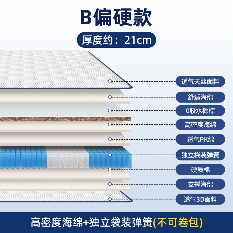 B 능선 보호 및 경질 모델 22CM [편안한 수면용 스트레이트 보드, 말리지 않음]
