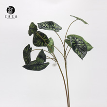 工厂直销 仿真绿植海芋龙鳞芋叶盆栽 龟背叶假花植物家居室内插花