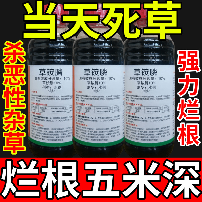 当天死草铵盐除草草安草铵磷草胺磷除牛筋草小飞蓬农药强力除草剂