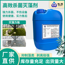 �������儩�蹸��ȥ�������Iˮ̎����������ѭ�hˮ��Ч�������儩