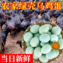 鑫園居烏雞蛋30枚綠殼土雞蛋新鮮農家散養綠皮谷物柴草山雞蛋代發