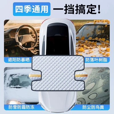Cover, Sun Protection Cover: Car snow shield
