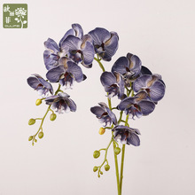 新款EVA仿真蝴蝶兰 复古高档硅胶棉樱花 婚庆装饰唇蝶兰仿真花