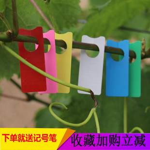 Watermelon Pollination Mark Plate Plant Label Batch Identification Color Card Grape Fruit Preservation Label Ring Set Plastic Sign Plate