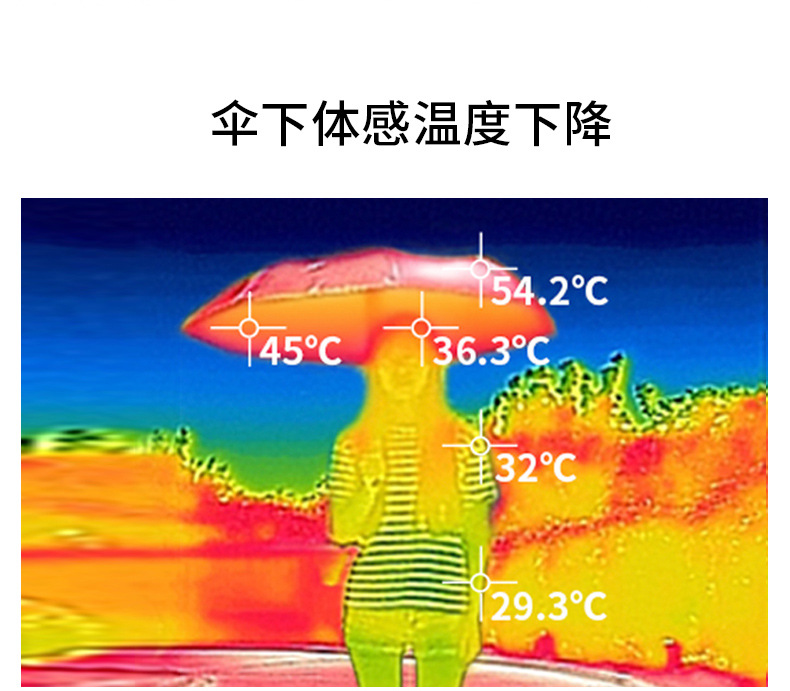 日本小金伞 金色迷你伞超轻便携日系遮阳防晒太阳伞 女士口袋雨伞详情23