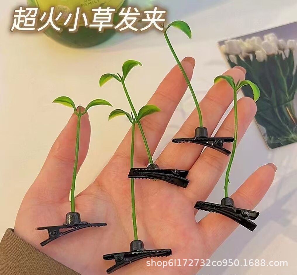 녹두 콩나물 비녀