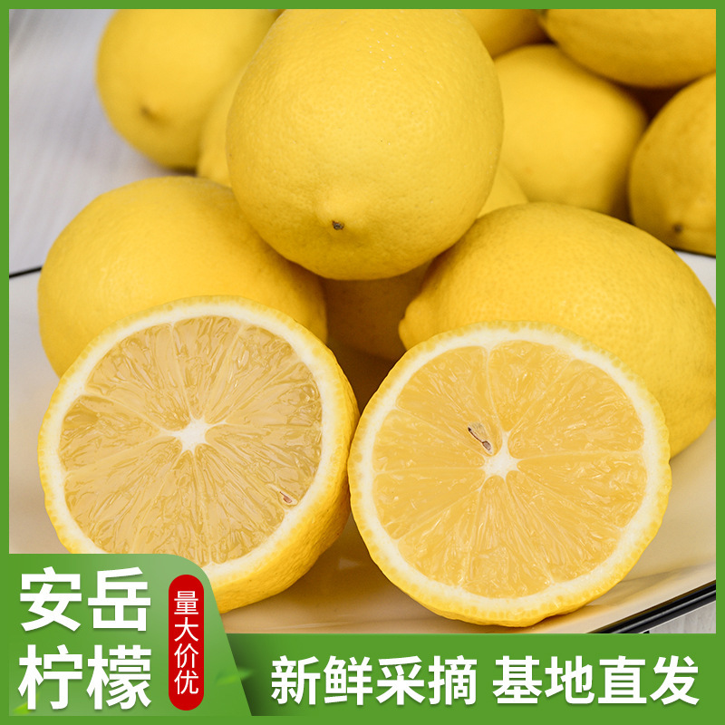 Sichuan Anyue Lemon Straight Hair Fresh Yellow Lemon Thin Lemon Milk Tea Seasonal Fresh Fruit Sichuan Anyue Lemon Straight Hair Fresh Yellow Lemon Thin Lemon Milk Tea Seasonal Fresh Fruit