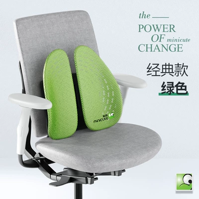 Waist support Office Waist Sedentary Waist - classic-edition-green