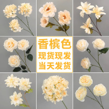婚庆香槟色仿真花场景布置假花婚礼堂吊顶绢花舞台路引地排花插花