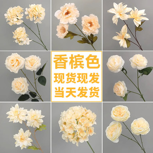 ��c�㙉ɫ���滨�������üٻ�����õ������m��c�û����滨���l