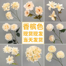 婚庆香槟色仿真花场景布置假花花束玫瑰蝴蝶兰婚庆用花仿真花批发