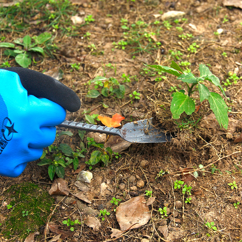 (2개) 야생 야채 파기 삽 구이 구식의 단조 꽃 재배자 도구 파고 토양 HERBOMETER 농업 마늘 파기 가정용 느슨한 토양 삽 스페이드