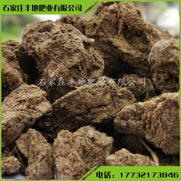 种蘑菇用干牛粪有机肥腐熟发酵有机肥料块状底肥改良土壤厂家批发