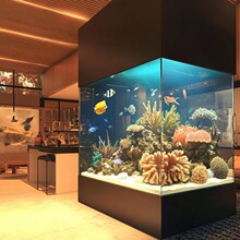亚克力大型鱼缸水下景观鱼缸生产厂家定 做 海洋馆大型水族箱制作
