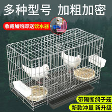 鸟笼子大号不锈钢鹦鹉笼鸽子笼养殖家用特大繁殖配对大型色鸟笼