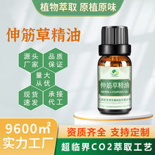 伸筋草油超临界萃取中药草本植物单方精油按摩养生原料伸筋草精油