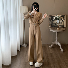 欧货休闲运动套装女秋冬2025新款时尚洋气高级感卫衣阔腿裤两件套