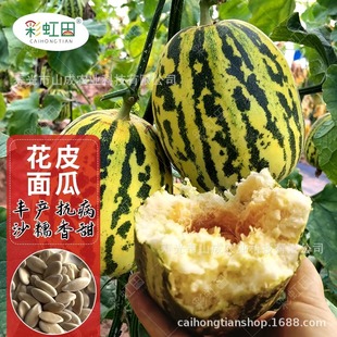 ����Ƥ��ϷN����Ʒ�N��ܛ��ϷN�Ӵ����ļ��SƤ��Ƥ��������