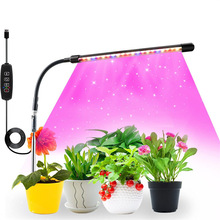 LEDֲ��ƿɸ߶ȵ���Сֲ���������������Բ��ʽֲ�ﲹ���