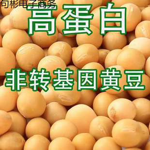 �|���S��4�ﶹѿ�������{ԭ�ϖ|�����r���ԷN����s�Zһ�����l