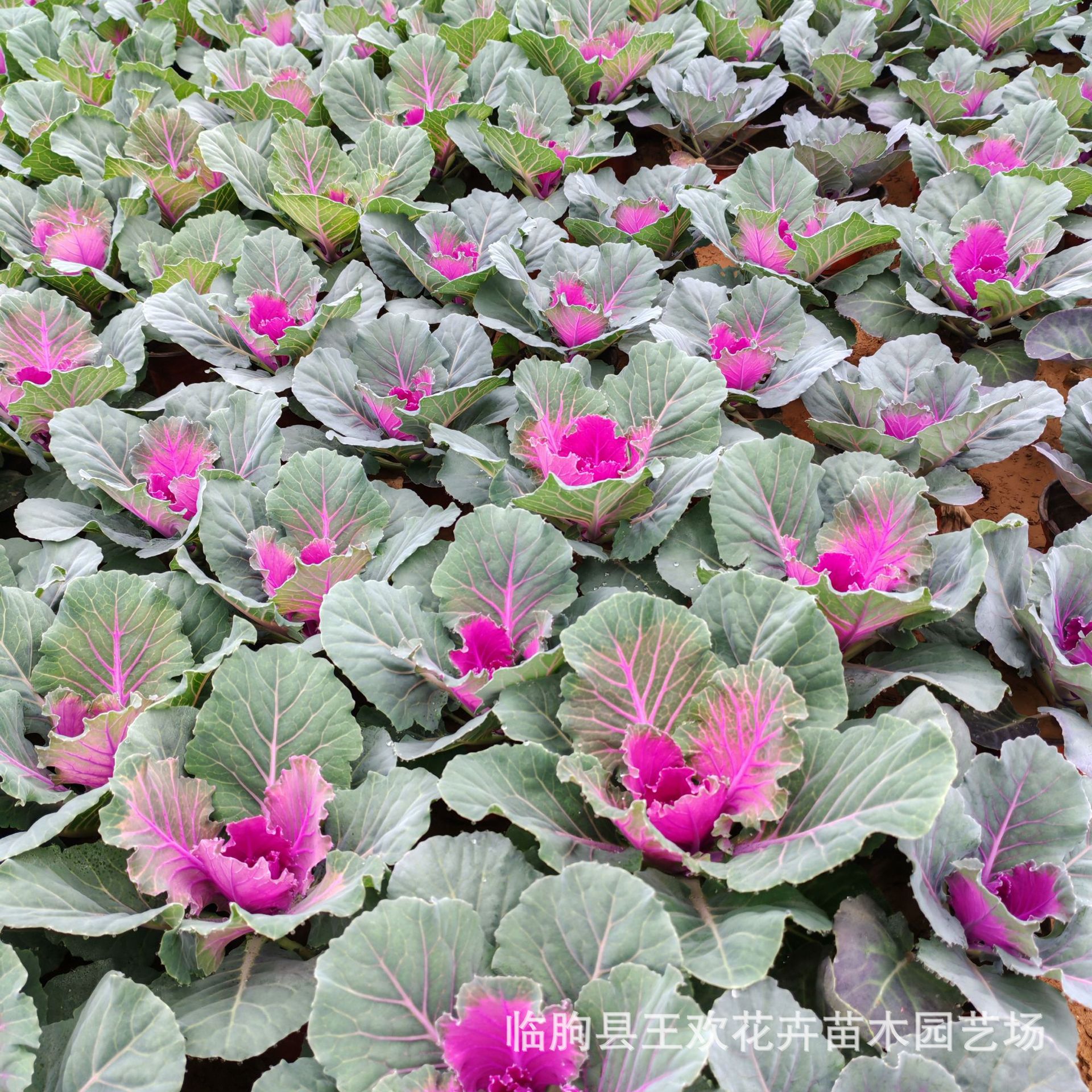 b448868c-72a4-49b7-8828-7b22c9