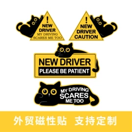 车身贴;其他汽车外饰;其他汽车内饰