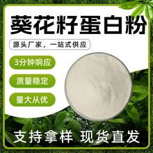 葵花籽蛋白粉 白色 易溶于水 葵花籽香 干燥避光储存 现货批发