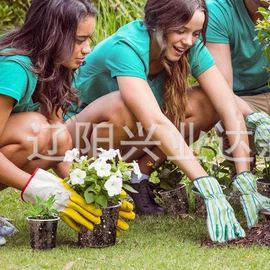 花盆容器;防水涂料;防潮材料