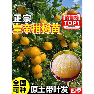 ���ڻʵ۸̘��缃�������Ϸ������Nֲ����ɰ�ǟo�ˏV���t��Ě����