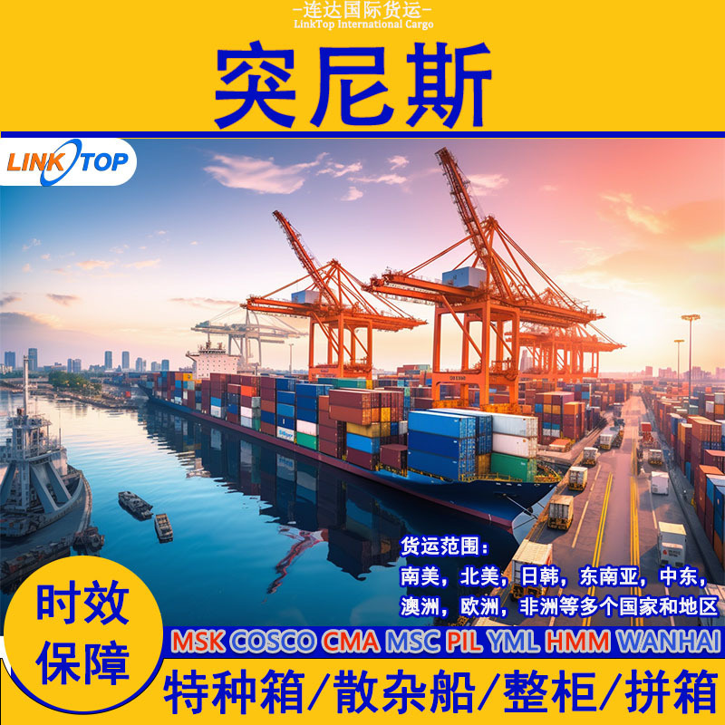International Logistics Tunisia Dedicated Line Cross-Border Overseas Warehouse Container Express Freight Forwarding Import and Export Sea Shipping Double-Clearing to Door