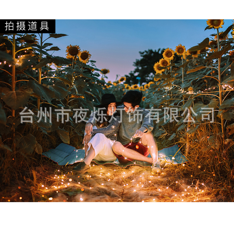太阳能铜线灯_14.jpg?x-oss-process=image/format,png