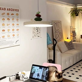 吊灯;室内壁灯;吸顶灯