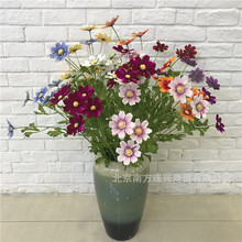 ���滨��ɣ����˹�Ւ���÷·߅Ұ���Ҿӻ�c�bٻ�����ֲ���r��