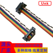 ���N2651��ɫ�ž� �yԇ�C�B���ž���Ӿ��Ķ��� 2.54IDC���ž�10P