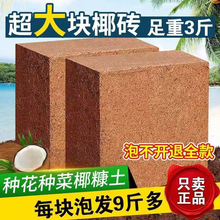 9斤大椰砖乌龟冬眠椰子壳椰土低盐种菜养花大块营养绿萝土椰糠砖